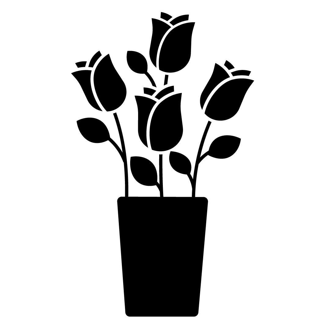 Productafbeelding 4
